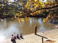 DSCF6097  Studley Park, Melbourne.