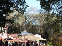 DSCF6105  Studley Park Boathouse Cafe, Melbourne.