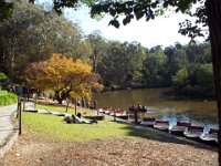 DSCF6108  Studley Park, Melbourne.