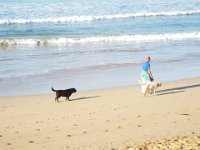 DSCF6135  Torquay Back Beach, right near the Torquay Foreshore Caravan Park, Torquay.