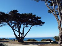 DSCF6154  Torquay Frontbeach.