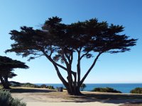 DSCF6155  Torquay Frontbeach.