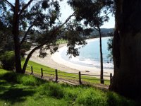 DSCF6199  View from our picnic spot at Lorne.