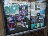 DSCF6244  Signage board at Teddy's Lookout, Lorne.