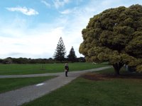 DSCF6260  Sam takes a walk along the foreshore, Apollo Bay.