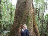 DSCF6291  Sam at Mait's Rest a self-guided walk through rainforest in the Otway Ranges, Great Otway National Park.