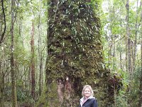DSCF6294  Sam at Mait's Rest a self-guided walk through rainforest in the Otway Ranges, Great Otway National Park.