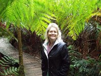 DSCF6307  Sam loving the rainforest!