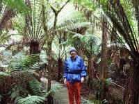 DSCF6310  Rauleigh adds some colour visiting Mait's Rest a self-guided walk through rainforest in the Otway Ranges, Great Otway National Park.
