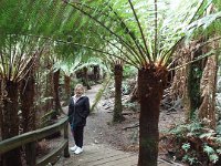 DSCF6317  Sam enjoying Mait's Rest a self-guided walk through rainforest in the Otway Ranges, Great Otway National Park.
