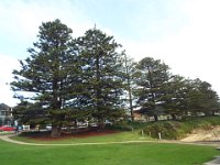 DSCF6437  Port Campbell Foreshore.