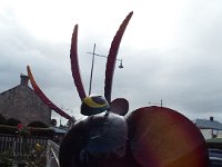 DSCF6490  Cockatoo head on a fence in Port Fairy.