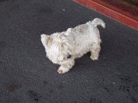 DSCF6507  Sam outside his Antique Shop Port Fairy.