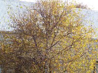 DSCF6537  Port Fairy Day Spa, Port Fairy.