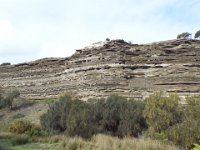 DSCF6542  Tower Hill Wildlife Reserve - inactive volcano.