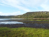 DSCF6554  Tower Hill Wildlife Reserve.