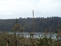 DSCF6558  Tower Hill Wildlife Reserve.