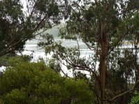 DSCF6560  Tower Hill Wildlife Reserve.