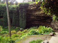 DSCF6603  Umpherston Sinkhole in Mt Gambier.