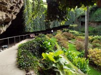 DSCF6605  Umpherston Sinkhole in Mt Gambier.