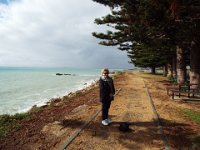 DSCF6611  Sam enjoys a walk along the Robe Foreshore in Robe, South Australia.