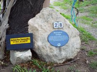 DSCF6634  Birmingham Cottage, est 1869 in Robe Town Centre, South Australia.