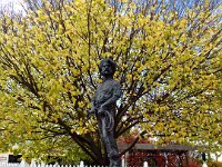 DSCF6732  Statue of Alexander Cameron 1810 - 1881 - Founder of Penola, South Australia.