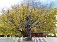 DSCF6733  Statue of Alexander Cameron 1810 - 1881 - Founder of Penola, South Australia.