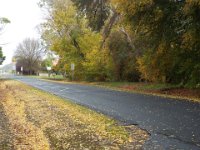DSCF6755  Autumn trees in Penola, South Australia.
