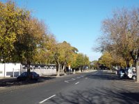 DSCF7181  Autumn trees in Keith, South Australia, our morning tea stop on our drive from Naracoorte to Adelaide.