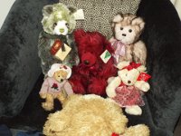 DSCF7201  Mr Chubbs chats to the new additions about their impending arrival into Teddyland.