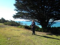 P5040082  Rauleigh under a nice tree near the Torquay Frontbeach.