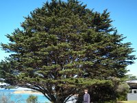 P5040095  Rauleigh at Torquay Frontbeach.