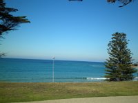 P5040097  Ocean views in Anglesea