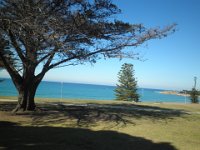 P5040099  Ocean views in Anglesea