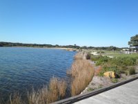 P5040101  The Anglesea River, in Anglesea