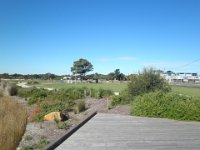 P5040102  Boardward next to the Anglesea River, in Anglesea