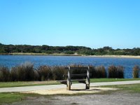 P5040110  The Anglesea River, in Anglesea
