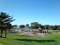 P5040130  Lorne Foreshore.