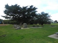 P5050163  Apollo Bay Foreshore.