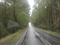 P5060180  Travelling the Great Ocean Road on a wet and windy day!