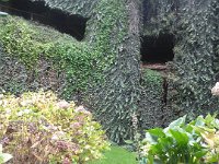 P5080208  Umpherston Sinkhole in Mt Gambier.