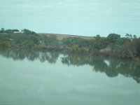 P5160222  Murray River taken while driving from Naracoorte to Adelaide.