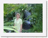 11140033 * Sam at the Butterfly Gardens in Koh Samui. * 2240 x 1680 * (1.69MB)