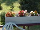 04250003 * Flower box on the veranda at Kakapu Cottage. * 2240 x 1680 * (1.13MB)