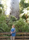 04220012 * Sam at the base of Tane Mahuta - God of the Forest in the Waipoua Forest. * 1680 x 2240 * (1.27MB)