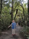 04220018 * Sam enjoying the walk through the forest to Tane Mahuta. * 1680 x 2240 * (1.23MB)