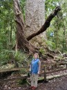 04220032 * Sam at the base of a large kauri tree in the Waipoua forest. * 1680 x 2240 * (1.38MB)