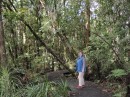 04220039 * Sam wnjoying a walk amoungst the kauri trees in the Waipoua forest. * 2240 x 1680 * (1.44MB)
